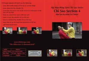 Chi Sao Section 4 - DVD