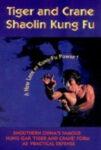  Excelente vídeo instrutivo com mestre Hung Gar Chiu Chi-Ling. Você pode se lembrar Ling a partir de uma série de filmes de kung fu da velha escola, como a serpente do Jackie Chan in the Shadow Eagles e muitos mais.