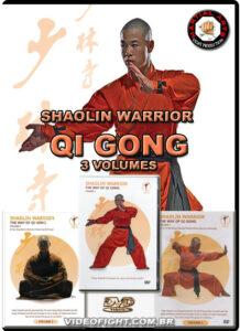 SHAOLIN WARRIOR QI GONG