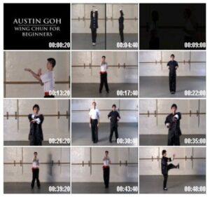 Austin Goh - Wing Chun for Beginners (3)