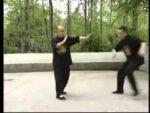 GU LAO WING CHUN - 22 PONTOS (2)