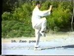 YANG TAI CHI CHUAN FORMAS 24,48,84 (1)