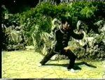 YANG TAI CHI CHUAN FORMAS 24,48,84 (3)