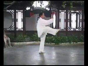 Yang Shi Taijiquan. Formulários 38