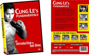 CUNG LE FUNDAMENTALS - AN INTRODUCTION TO SANSHOU