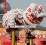 INSTRUCTIONAL HIGH POLE LION DANCE (1) copy