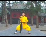 shaolin shi yan wang (1)