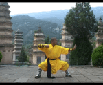 shaolin shi yan wang (3)